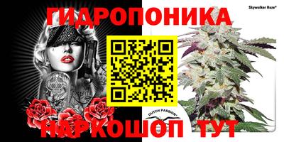 прущие крисы Будённовск