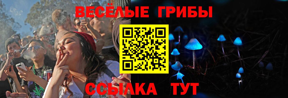 Псилоцибиновые грибы мицелий  Вход с VPN  Мичуринск 